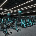 Modern Gym Interior With Various Fitness Equipment