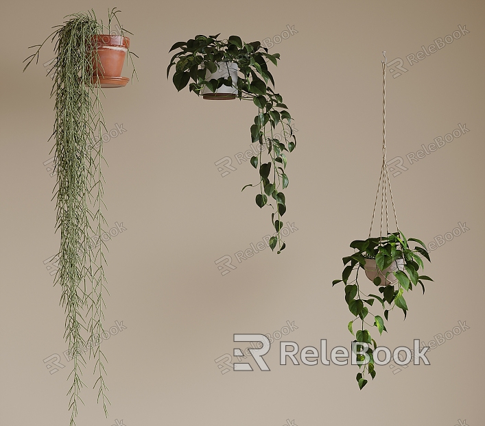 Modern hanging basket plant bonsai model