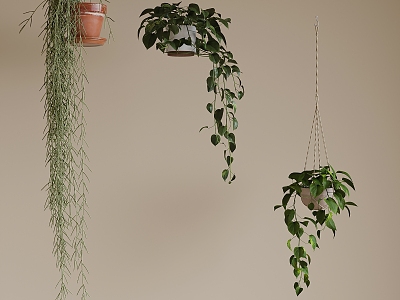 Modern hanging basket plant bonsai model