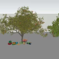 Garden Landscape With Fruit Trees Stone Decorations And Reflective Water Surface