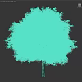 Luxuriant Deciduous Tree With Full Canopy Lush Green Foliage Against Dark Background
