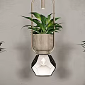 Modern Wooden Frame Chandelier With Geometric Glass Shade And Potted Plants On Gray Wall