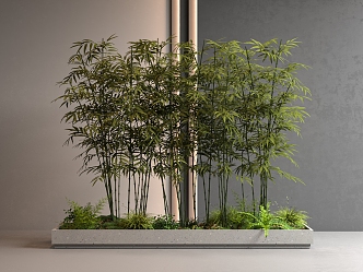 Bamboo 3d model