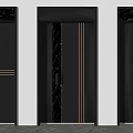 Modern Black Security Doors With Gold Accents And Marble Frame Design 3d model
