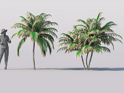 Two Green Palm Trees With Brown Fronds Standing Next To A Hat Wearing Figure 3d model