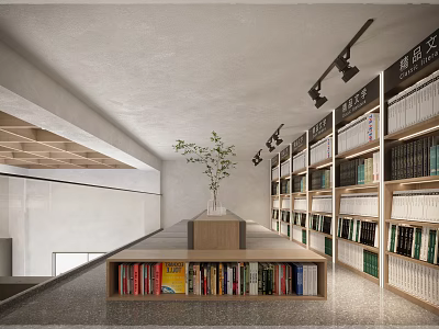 Book Art Inspired Modern Library Interior With Shelves Books Green Plant And Spotlights 3d model
