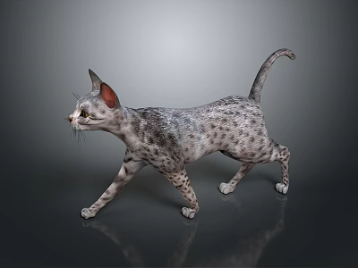 3D Rendered Spotted Cat Walking On Gray Background With Ears And Tail 3d model