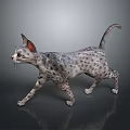 3D Rendered Spotted Cat Walking On Gray Background With Ears And Tail
