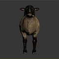 Realistic Standing Sheep With Black Head And Light Brown Body On Gray Background