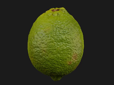 Fresh Green Lime Fruit With Natural Textured Surface And Ripe Healthy Look 3d model