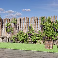 Arbor Covered With Grape Vines Next To Wooden Fence In Green Grass Garden