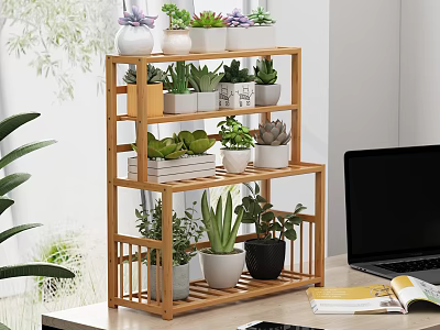 Multi tiered Wooden Storage Shelf with Potted Plants Books and Decorations in Modern Home Office 3d model