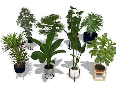 Various Types of Indoor Potted Plants with Different Decorative Pots and Green Foliage 3d model