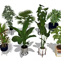 Various Types of Indoor Potted Plants with Different Decorative Pots and Green Foliage