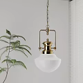 Brass and White Glass Pendant Lights in Modern Interior with Green Plants and Window Blinds