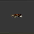 Modern Turtle Cartoon Turtle 3d model