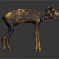 Standing Brown Yellow Textured Ram Sculpture on Dark Reflective Surface
