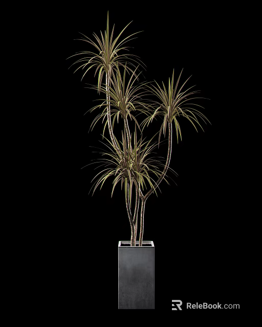 Potted Bonsai Plant with Multiple Stems Long Narrow Yellow Edge Leaves in Square Gray Planter 3d model 