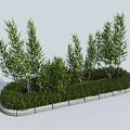 Green Leafy Bushes In Landscaped Area With Gray Curbstone Border And Various Heights