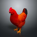 Vibrant Red Rooster with Red Comb and Yellow Claws on Dark Background