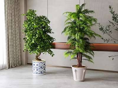 Two Green Indoor Potted Plants With Blue White Pattern And White Flower Pots 3d model