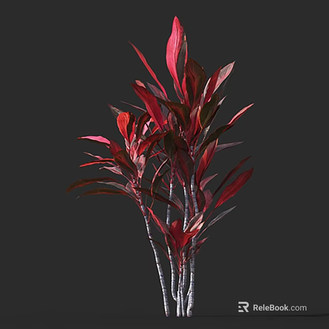 Beautiful Red Leaf Arbor With Tall Slender Trunks And Lush Vibrant Foliage 3d model 