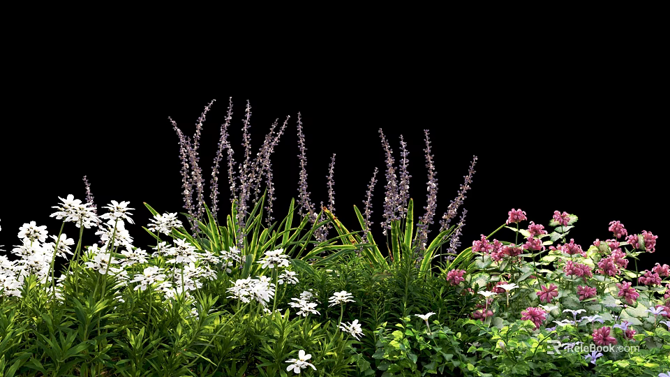 Mixed Garden Flowers With Purple White Pink Blooms And Lush Green Leaves 3d model 