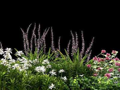 Mixed Garden Flowers With Purple White Pink Blooms And Lush Green Leaves 3d model