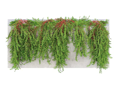 Hanging Green Vines Decorative Plants For Wall Decoration And Home Decor 3d model