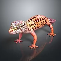 Leopard Gecko With Orange Limbs And Black Spotted Orange Body On Dark Background