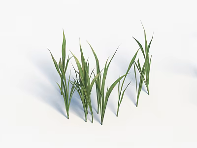 Grass 3d model