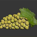 Fresh Yellow Grapes With Plump Shiny Berries And Green Leaf On Dark Background