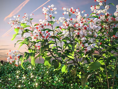 Lush Shrub with White and Red Flowers and Green Leaves in Sunset Garden 3d model
