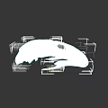 Anatomical White Bird Skull With Detailed Features On Black Background