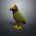 Green Parrot With Yellow Beak And Claws Standing On Dark Background