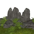 Natural Garden Ornament Featuring Gray Rocks Green Ferns And Lush Grass