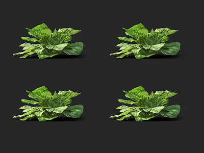 Fresh Green Leafy Vegetables Arranged in Four Groups on Black Background 3d model