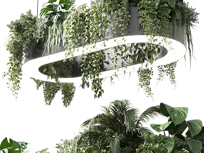 Round Chandelier With Hanging Green Plants And Vines For Home Interior Decor 3d model