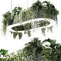 Round Chandelier With Hanging Green Plants And Vines For Home Interior Decor