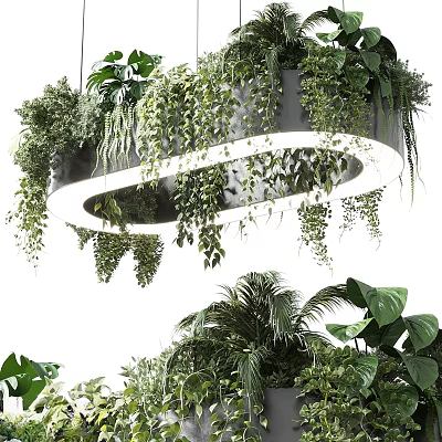 Round Chandelier With Hanging Green Plants And Vines For Home Interior Decor 3d model