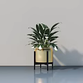 Bonsai Potted Plant with Green Leaves and White Flowers in Golden Pot on Black Stand