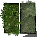 Indoor Living Plant Wall Decoration with Various Green Plants and Lush Natural Foliage