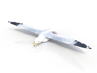 White Seagull With Spreading Wings Black Wing Tips And Yellow Beak In Flight 3d model