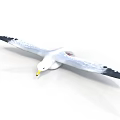 White Seagull With Spreading Wings Black Wing Tips And Yellow Beak In Flight
