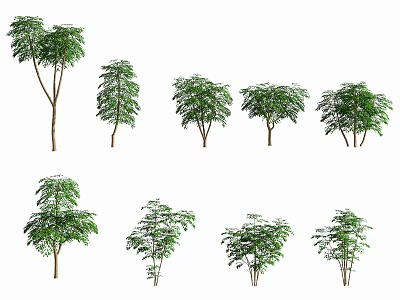 Diverse Arbor Trees With Various Foliage Shapes And Growth Patterns For Landscaping 3d model
