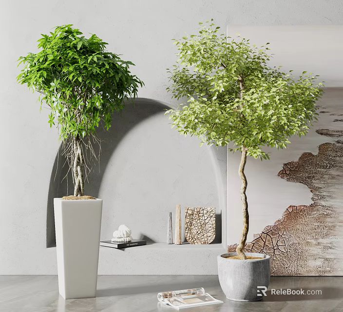 Bonsai Potted Plants With Lush Green Leaves Curved Trunk Exposed Roots In Modern Arch Interior 3d model 