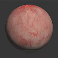 Realistic Human Eye Organ Model With Visible Blood Vessels Brown Iris And Pupil Reflection