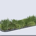 Lush Green Shrubs With Various Leaf Shapes Planted In Stone Border 3d model