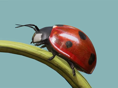 Red and black spotted ladybug crawling on green plant stem in natural setting 3d model