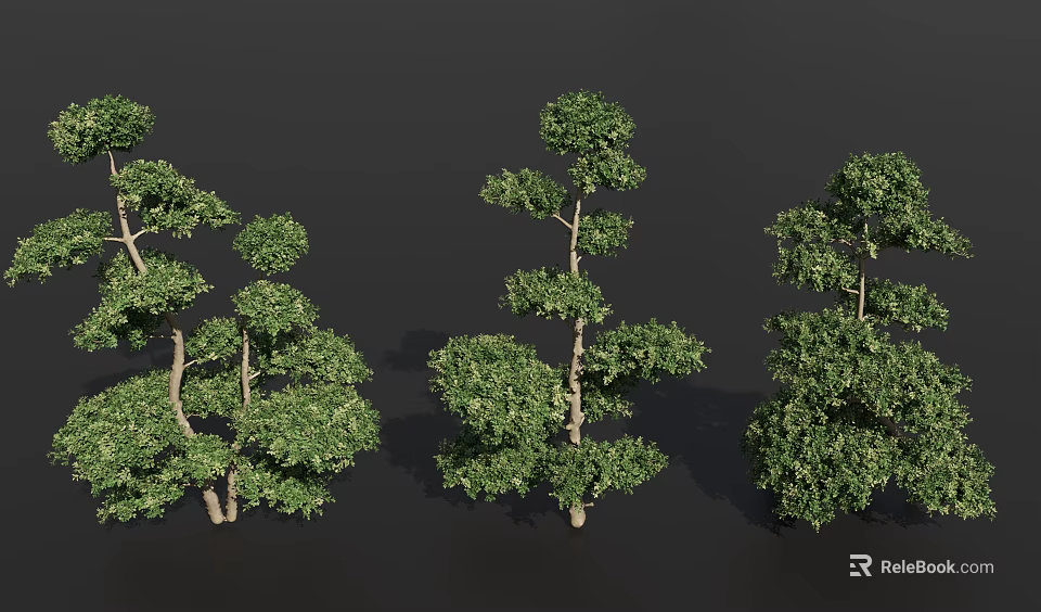 Multiple Arbor Trees Showcasing Various Forms With Lush Green Foliage And Different Crown Shapes 3d model 